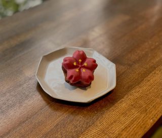 おはようございます。
本日26日は美容室、カフェ共に営業をしております。
カフェは14時までの営業となります。
ご来店をお待ちしております☕️

《ベリーカヌレ》
ストロベリーの生地にラズベリーチョコレートをコーティングした、桜の形のカヌレです。

#新宿三丁目　#カフェ　#ランチ　#パスタ
#テイクアウト